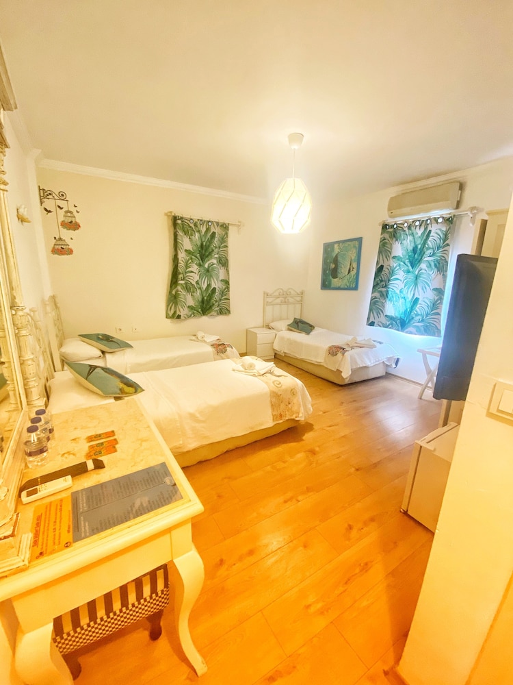 Comfort Studio Suite, 2 Bedrooms