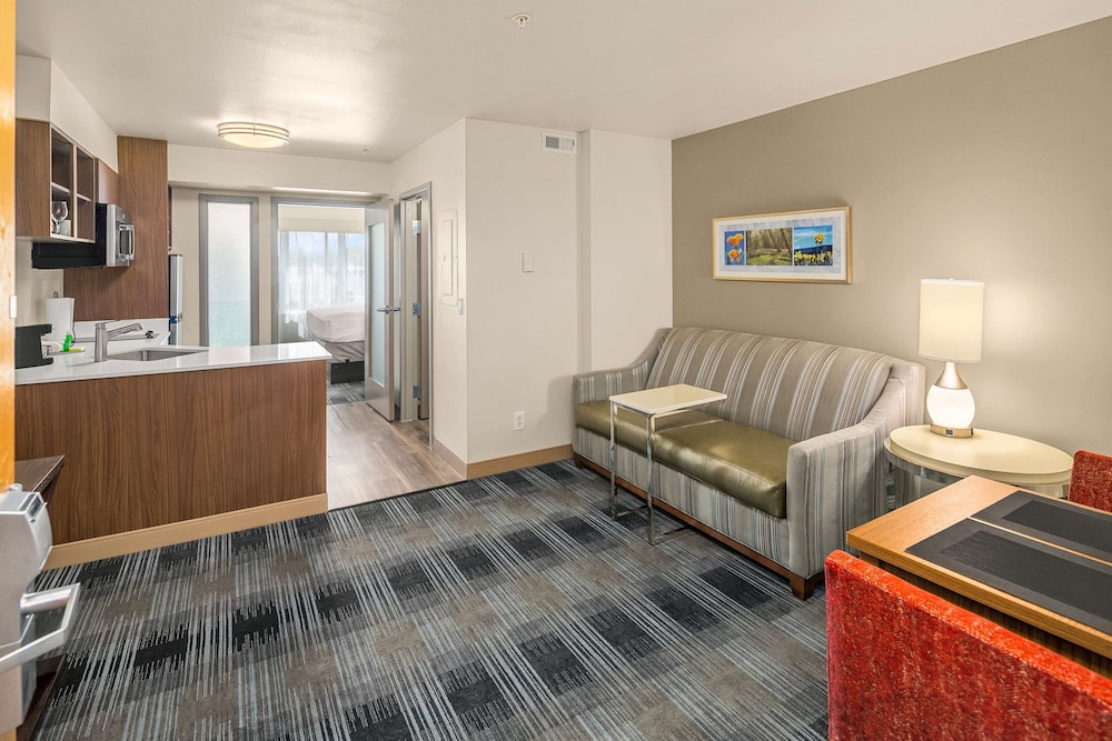 Suite, 1 King Bed, Non Smoking, Kitchen (Full Kitchen) - Photo 1