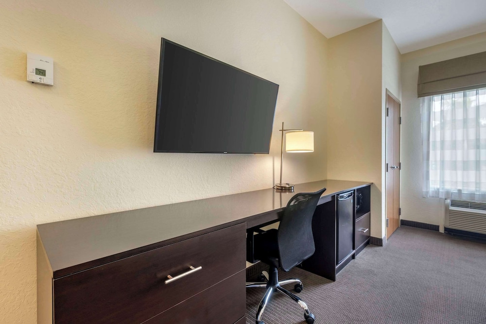 Suite, 1 King Bed, Non Smoking - Photo 4