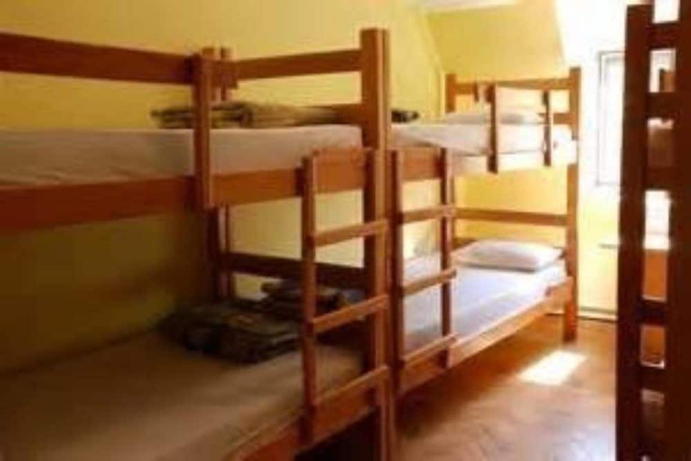 Basic Shared Dormitory, Mixed Dorm photo 1