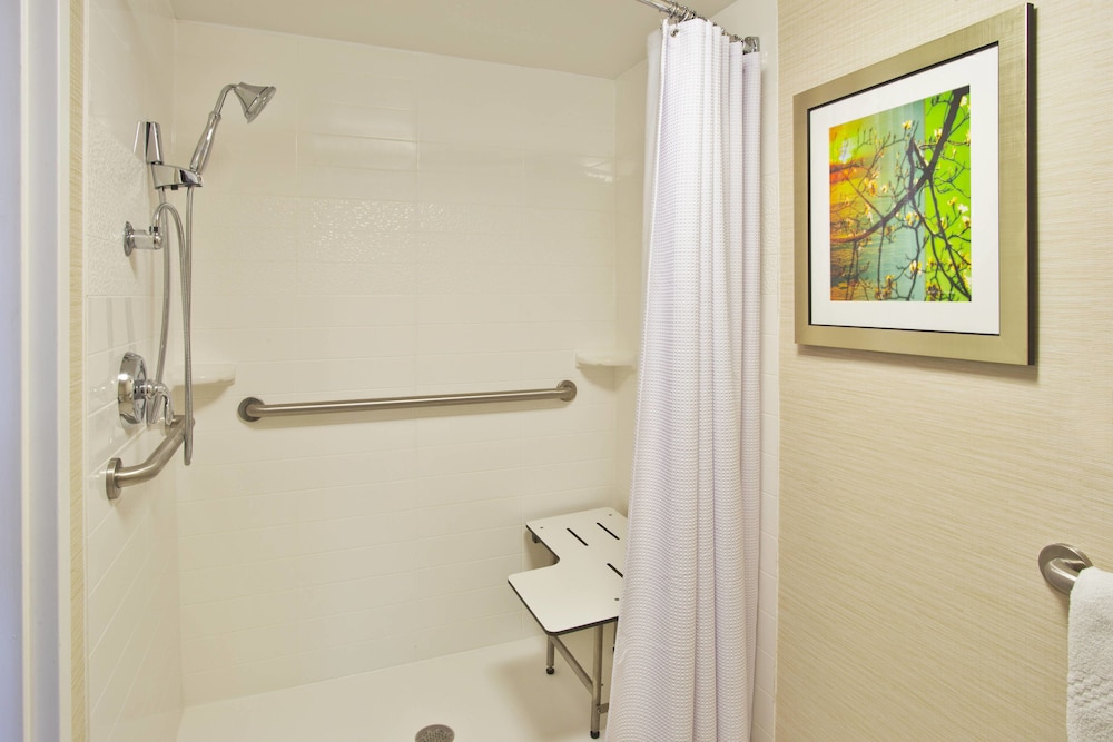 Room, 1 King Bed (Mobility Accessible, Roll-In Shower) - Photo 5