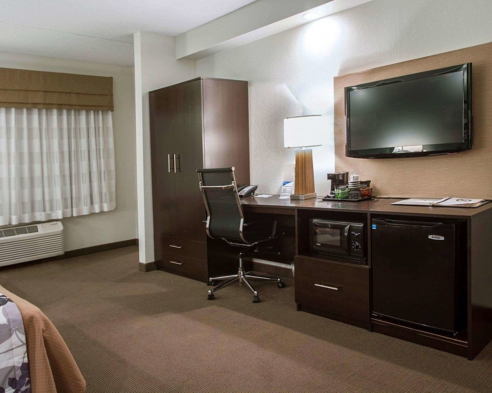 Suite, 1 King Bed with Sofa bed, Non Smoking - Photo 6