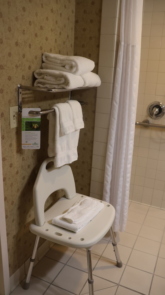 Room, 1 King Bed, Mobility Accessible (Roll-In Shower) - Photo 5