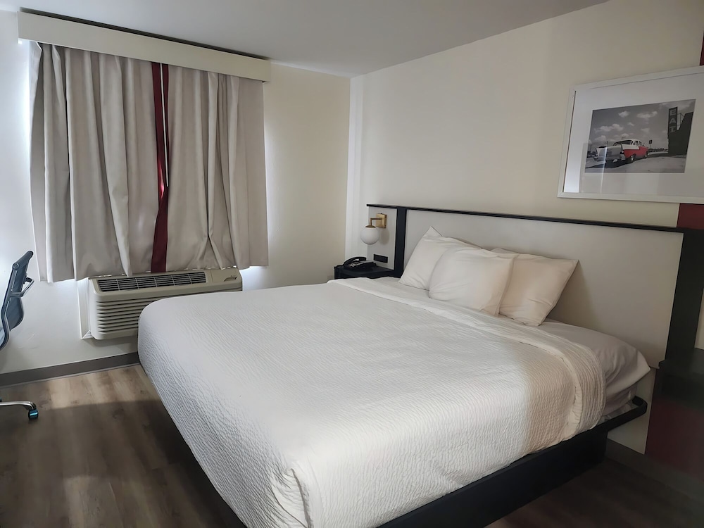 Room, 1 King Bed, Non Smoking (Shower Only) - Photo 6