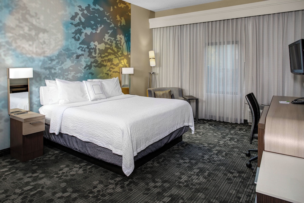 Room, 1 King Bed with Sofa bed (Mobility/Hearing Access, Roll-In Shwr) - Photo 1