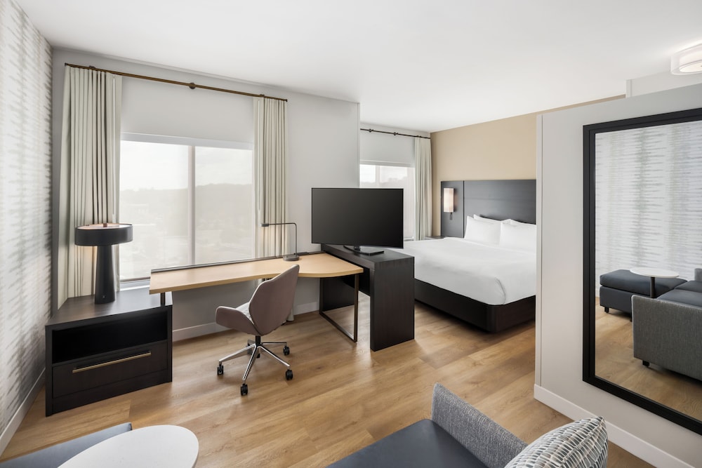 Studio Suite, 1 King Bed with Sofa bed (Mobility/Hearing Access, Transf Shwr) photo 3
