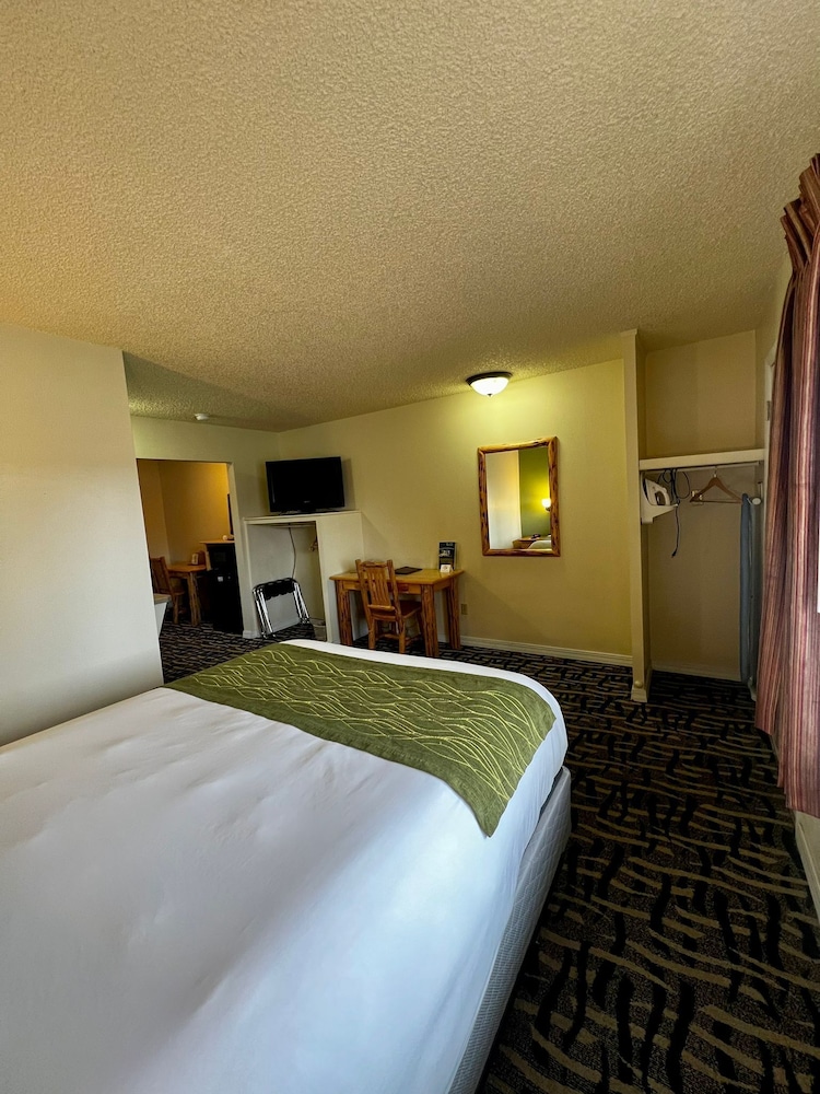 Economy Room - Photo 3