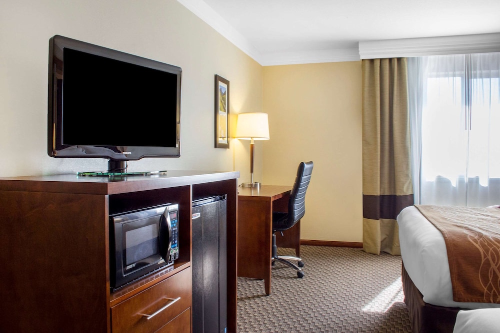 Suite, 1 King Bed with Sofa bed, Accessible, Non Smoking - Photo 4