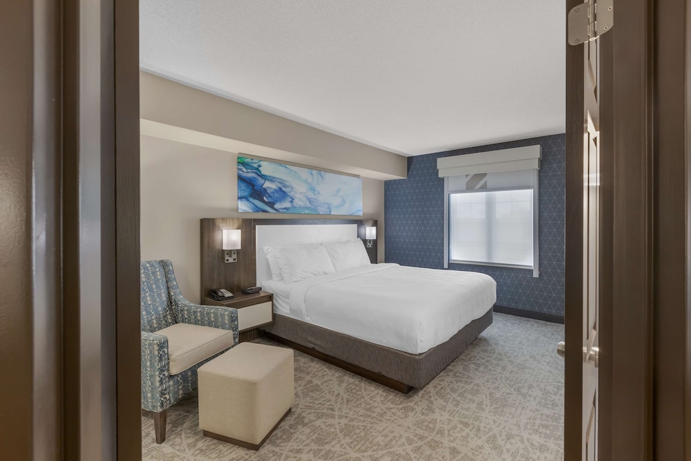 Suite, 1 King Bed, Non Smoking, Kitchen (Shower Only; Sofabed; Full Kitchen) - Photo 5