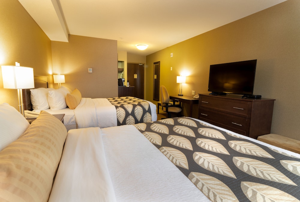 Double Room, 2 Queen Beds photo 1