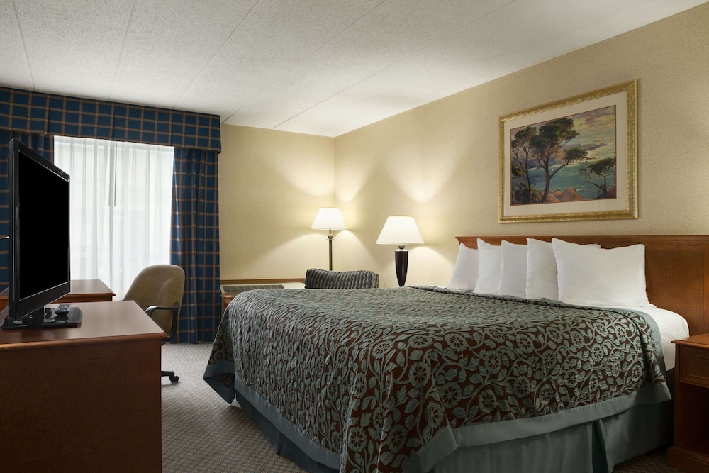 Studio Suite, 1 King Bed, Non Smoking, Pool View photo 1