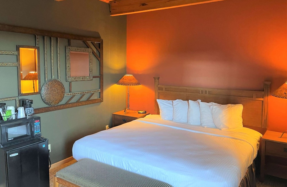 Standard Room, 1 King Bed, Non Smoking photo 1