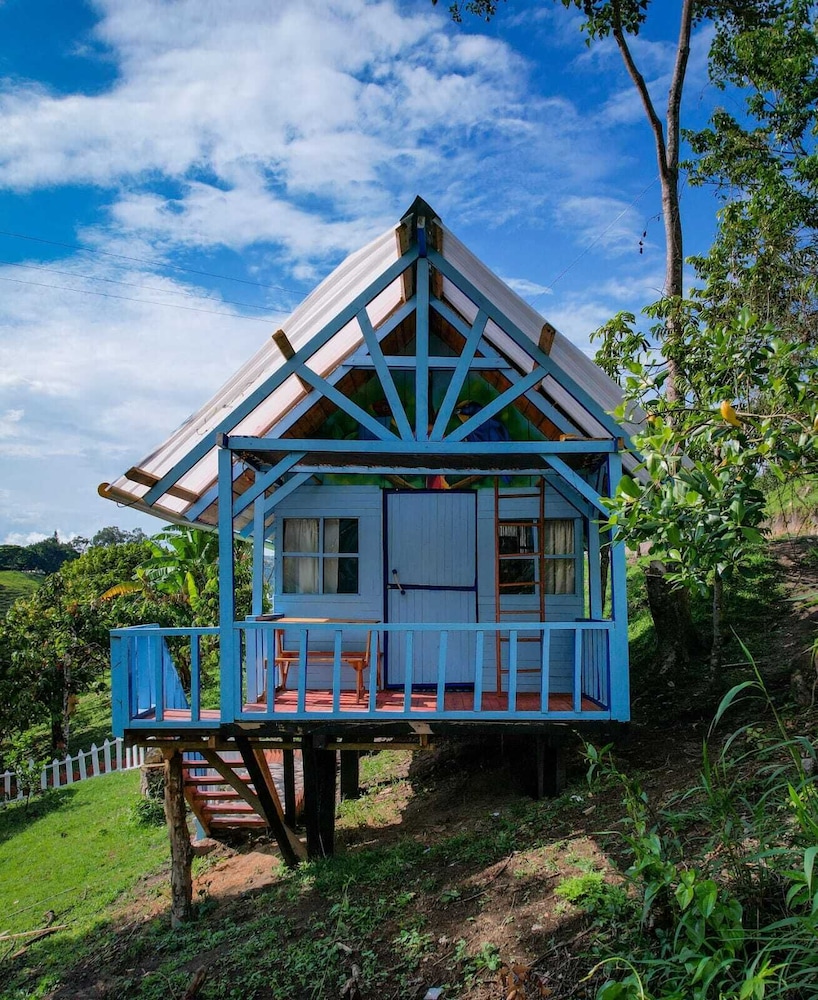 Panoramic Cabin, Mountain View