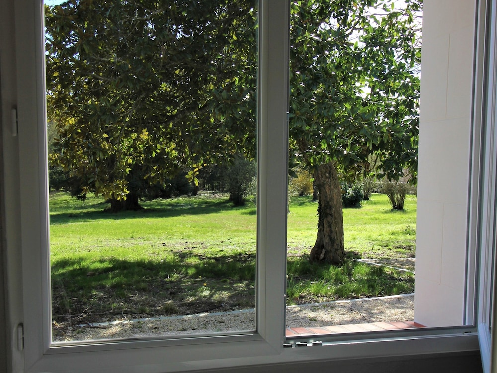 Comfort Double Room, Park View (Chambre d'hôte) photo 3