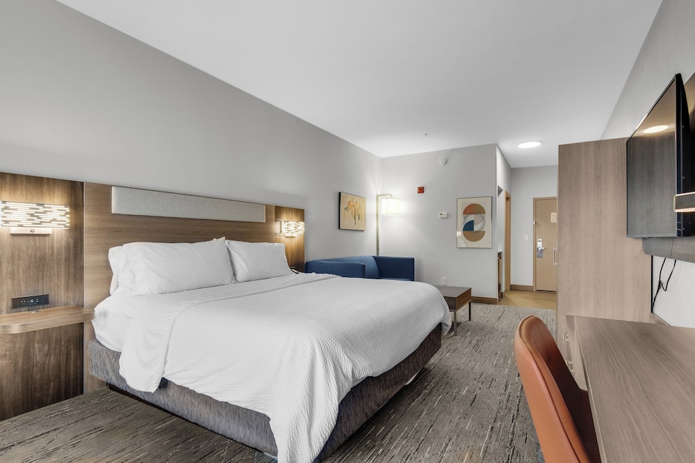 Suite, 1 King Bed, Accessible (Communications Accessible) - Photo 4