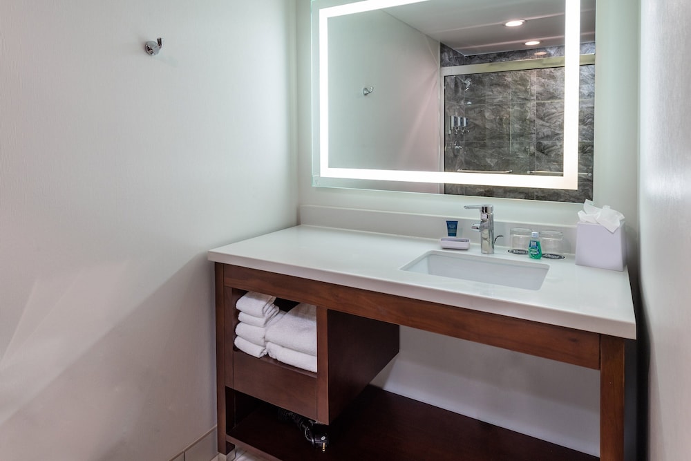 Suite, 1 King Bed - Photo 5