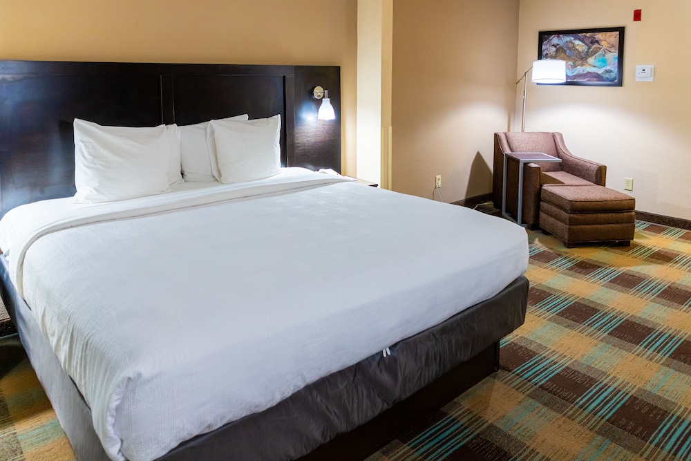 Standard Room, 1 King Bed, Accessible, Non Smoking (Walk-In Shower) - Photo 9