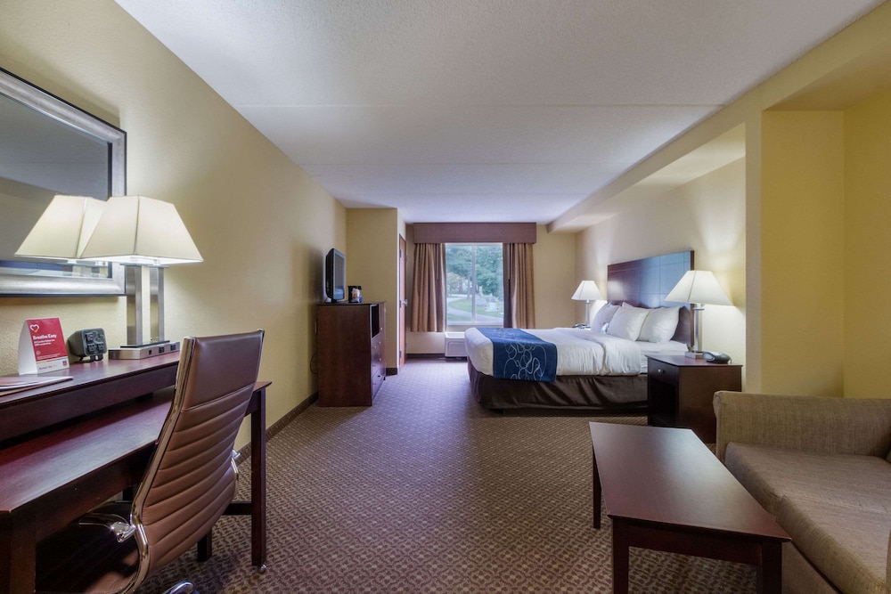 Suite, 1 King Bed with Sofa bed, Accessible, Non Smoking