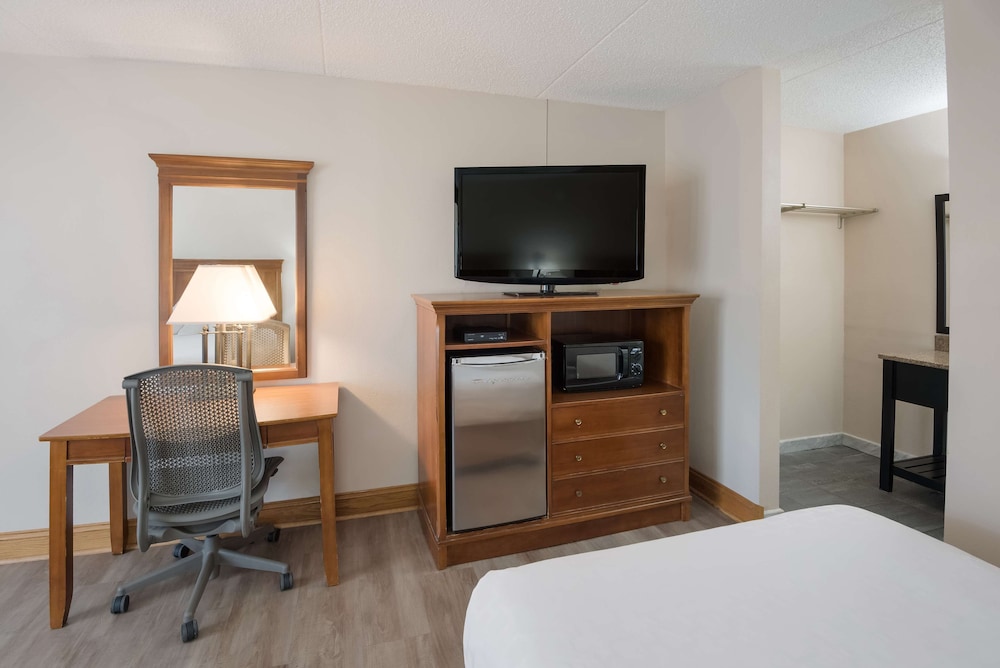 Standard Room, 2 Double Beds, Non Smoking, Refrigerator & Microwave (Pet Friendly) - Photo 6