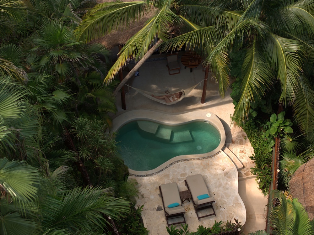 Viceroy Villa With Private Plunge Pool And Deck
