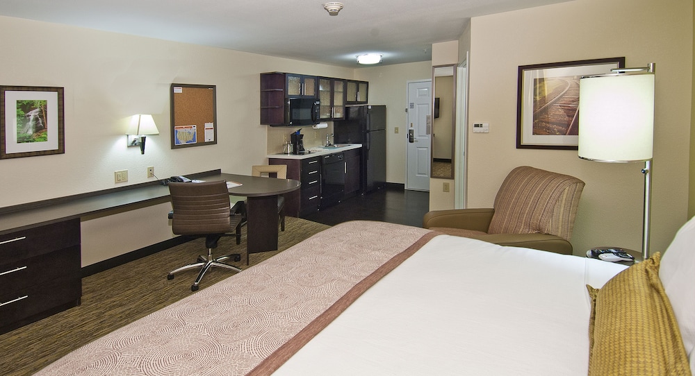 Studio Suite, 1 King Bed (Walk-In Shower) photo 1