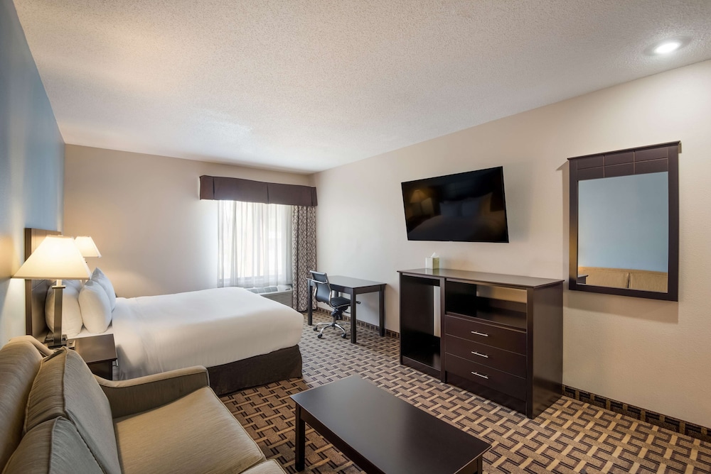 Standard Room, 1 King Bed, Non Smoking, Refrigerator & Microwave (with Sofabed) - Photo 2