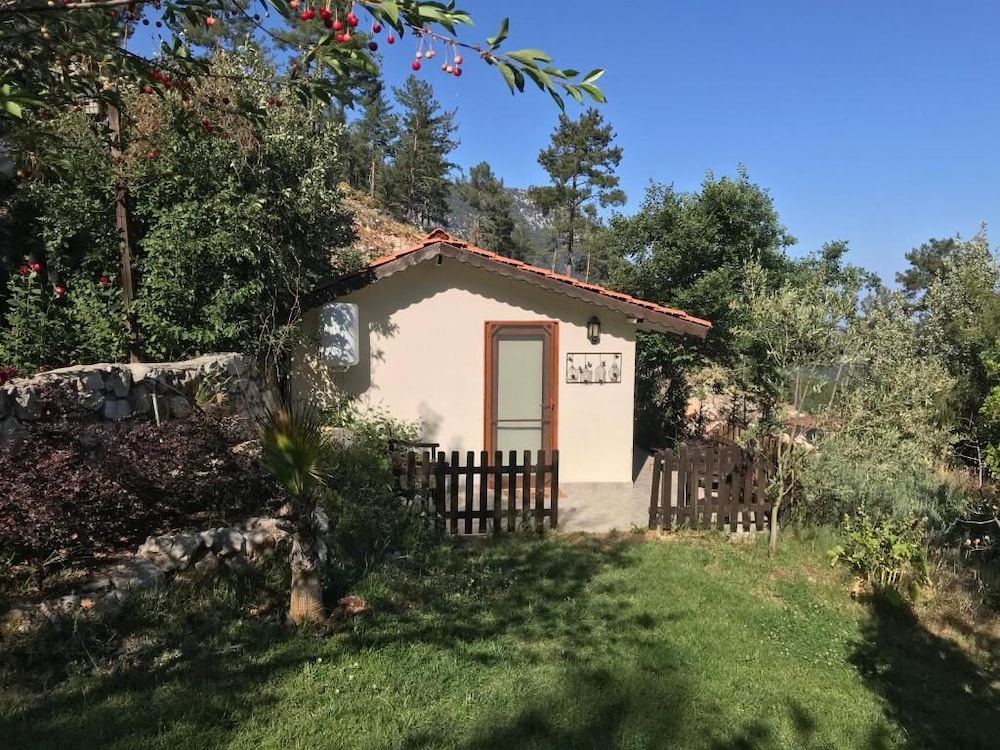 Cabin, Courtyard View photo 2
