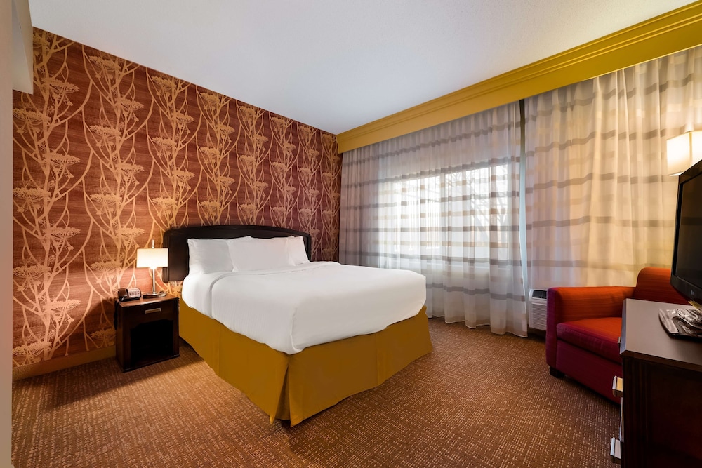 Studio Suite, 1 Queen Bed with Sofa bed (Mobility Accessible) - Photo 5