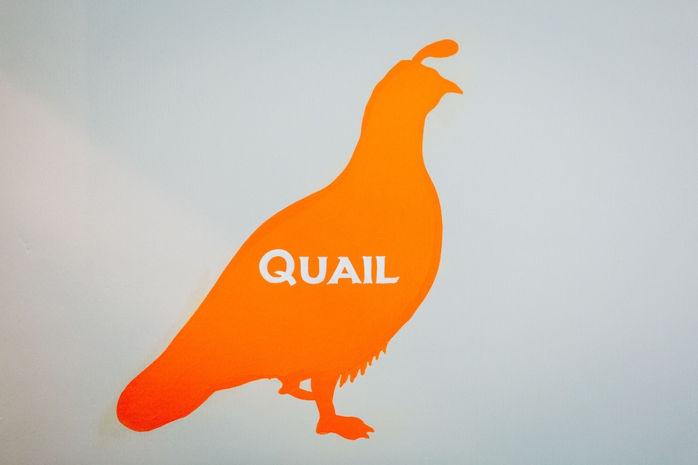 Double Room (The Quail) photo 2