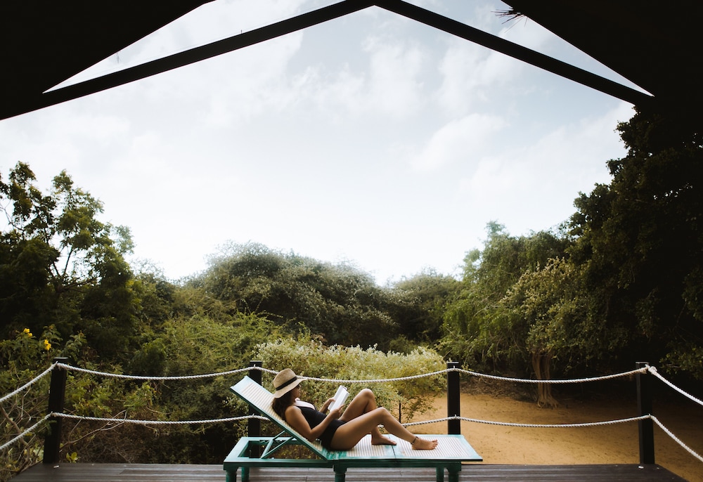 Jungle Dwelling photo 3
