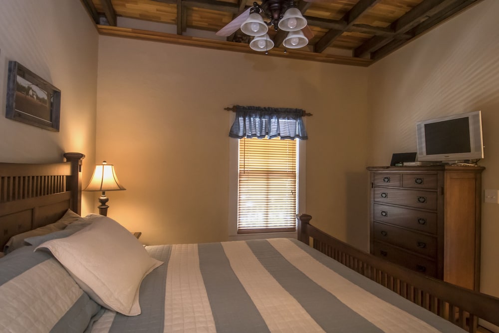 Toy Box Suite, 1 King Bed with Sofa bed, Patio photo 3