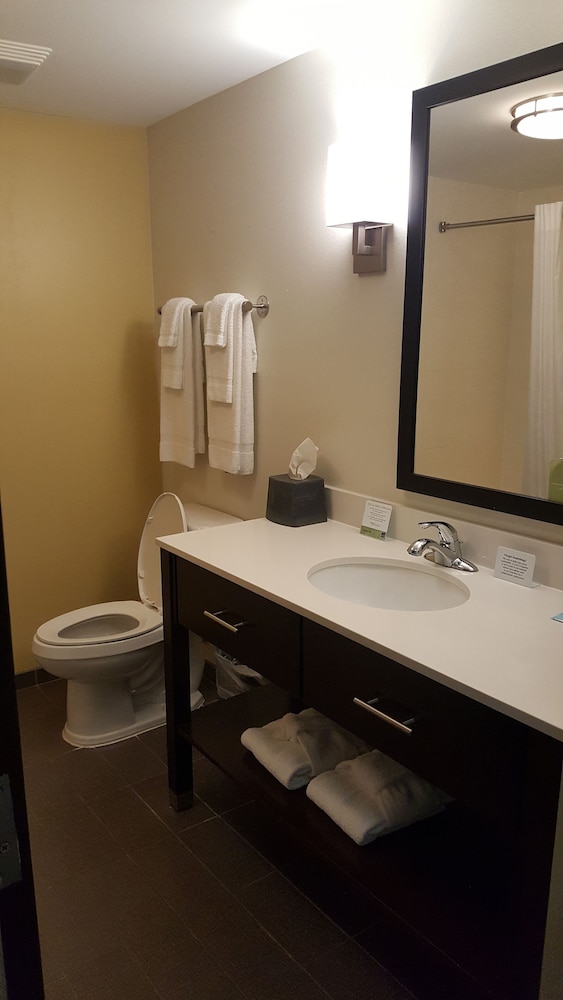 Suite, 1 King Bed, Accessible, Non Smoking photo 3