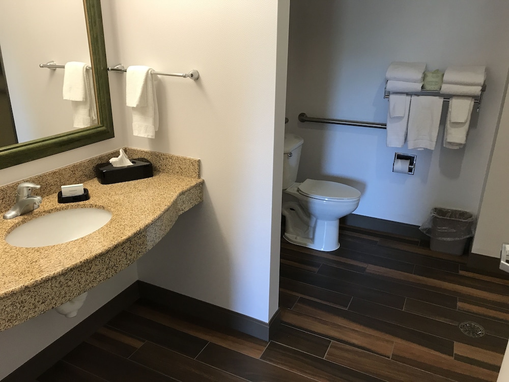Suite, 1 King Bed, Accessible, Non Smoking - Photo 6