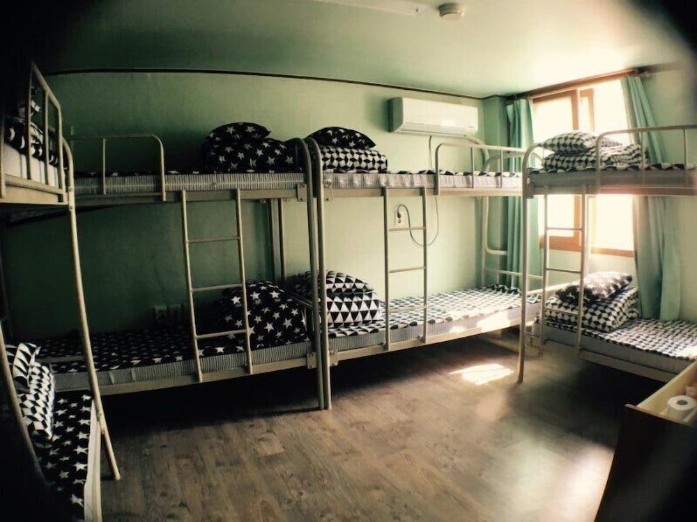 Shared Dormitory, Women only (6 people) photo 1