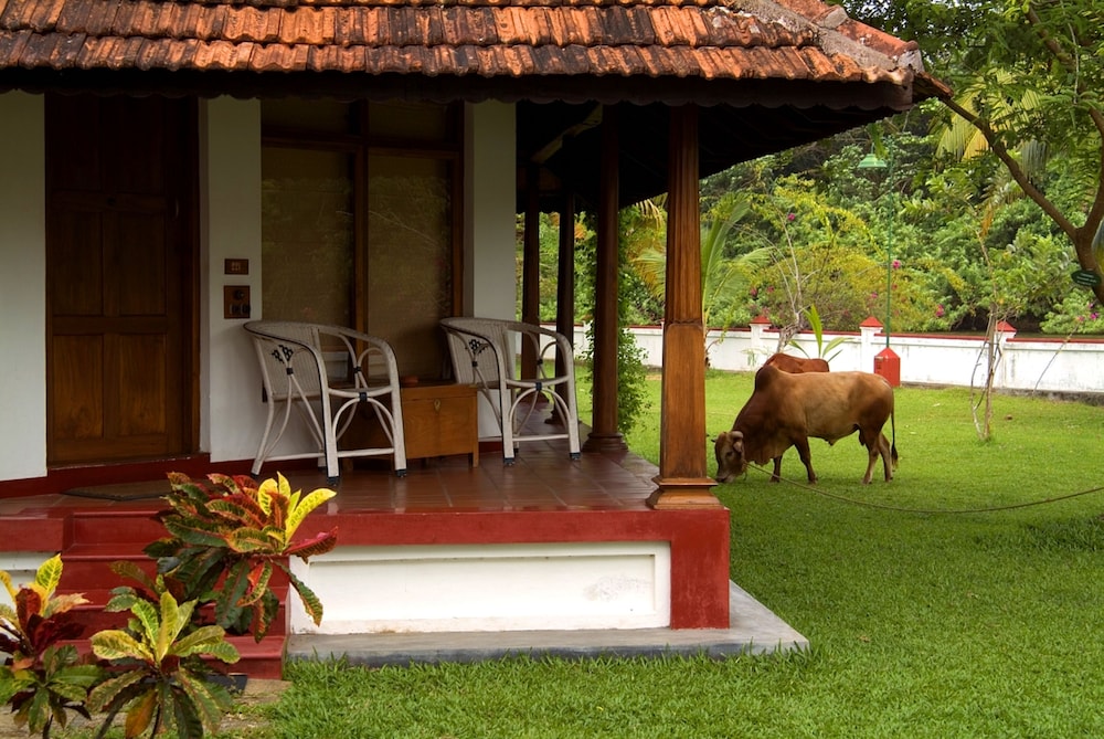 Heritage bungalow - Photo 5