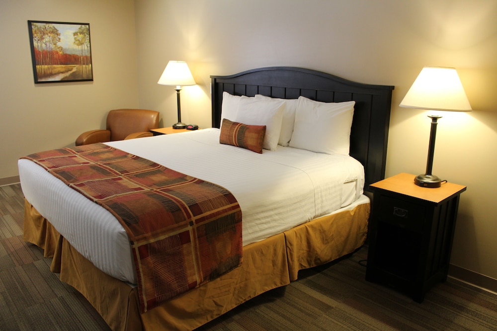 Standard Room, 1 King Bed, Accessible, Non Smoking photo 1
