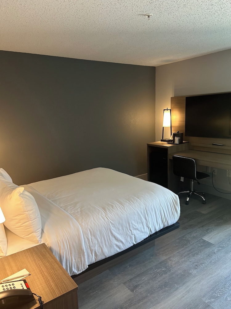 Standard Room, 1 Queen Bed, Non Smoking - Photo 10