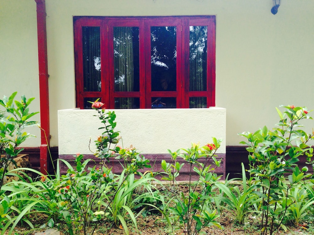 Deluxe Double Room, Garden View photo 3