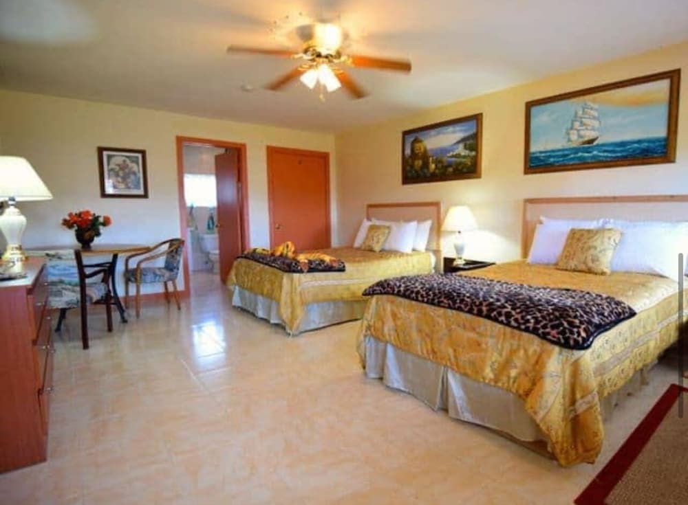 Comfort Double Room, 2 Double Beds photo 1