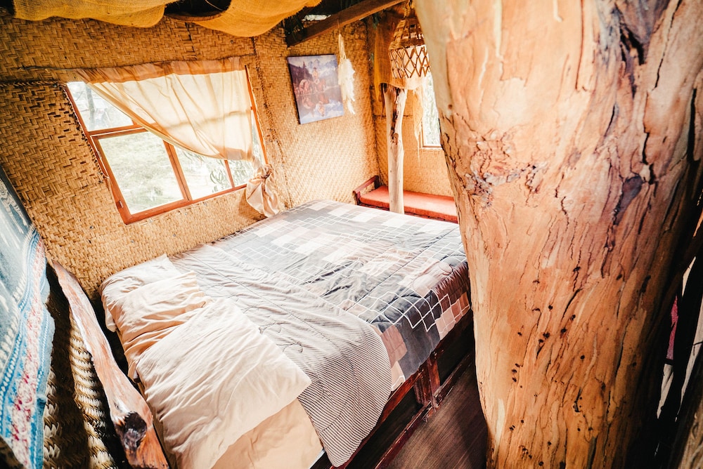 Tree House photo 2