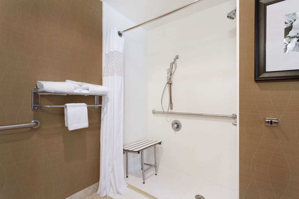 Studio, 1 King Bed, Accessible (Mobility, Roll-in Shower) - Photo 4