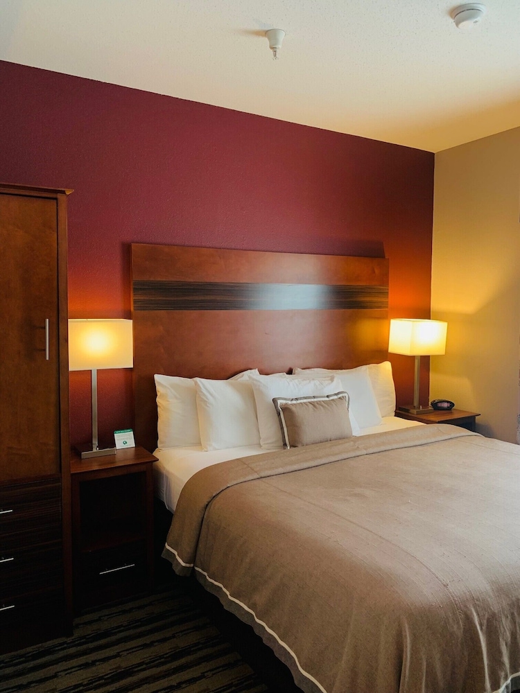 Suite, 1 King Bed photo 2