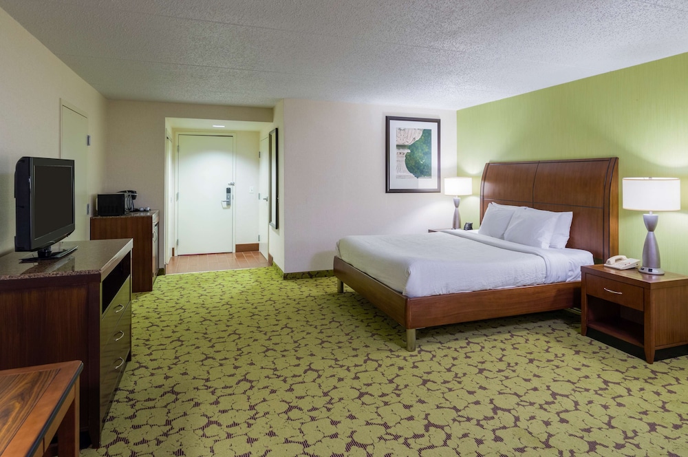 Room, Accessible - Photo 1