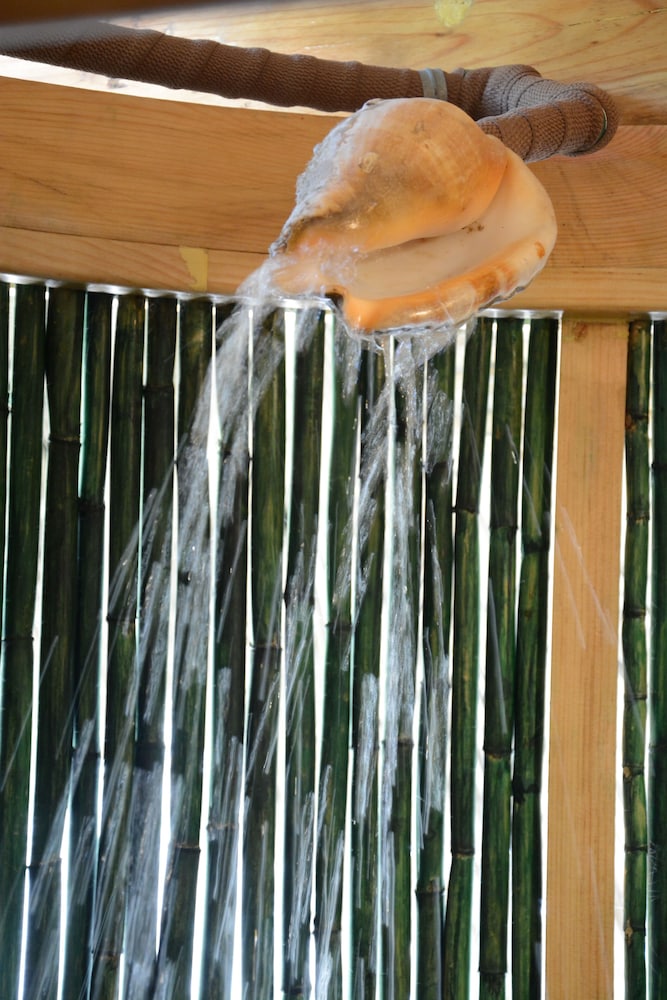Pelican photo 3