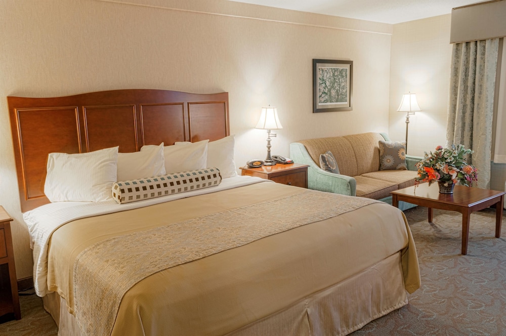 Standard Room, 1 King Bed, Accessible, Non Smoking (with Sofabed) - Photo 5