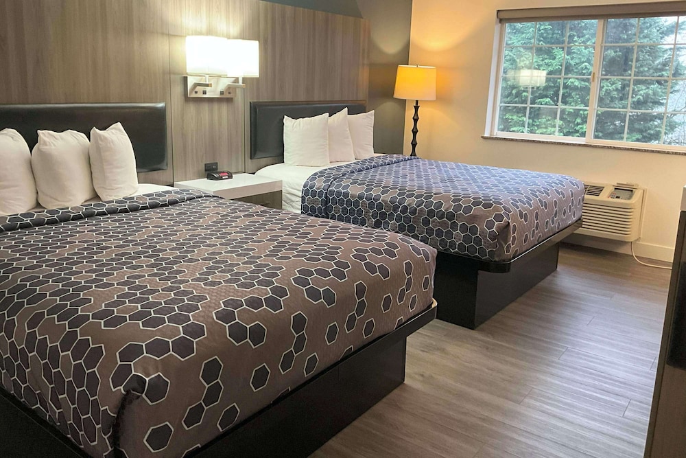 Deluxe Suite, Multiple Beds, Non Smoking - Photo 4