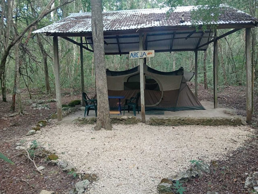 Tent, 2 Queen Beds photo 1