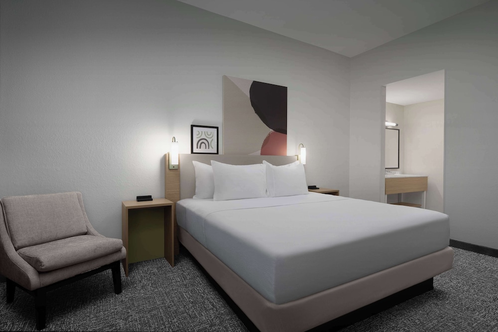 Suite, 1 King Bed photo 3