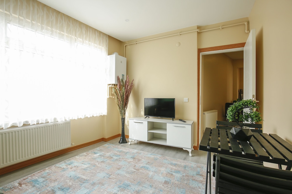 Condo, 1 Queen Bed, Non Smoking, City View (Mevlanakapi OnCephe 1+1 D5) photo 1