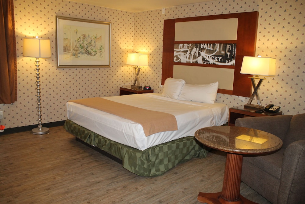 Premium Room, Microwave photo 1